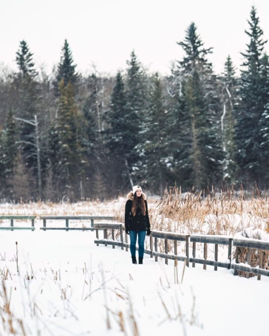 Ominnik Marsh in winter Riding Mountain National Park Manitoba