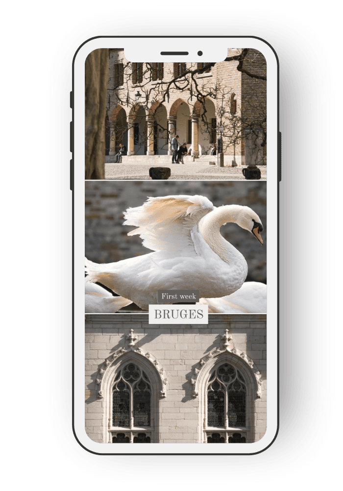 licensing mockup (4)