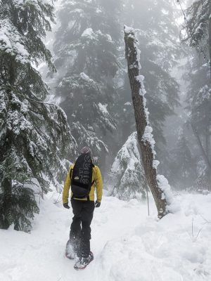 Snowshoeing Cypress in the fog
